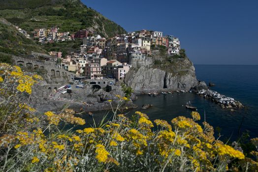 View of the picturesque village of Manarola in the heart of the Cinque Terre, important national park and world heritage of unesco