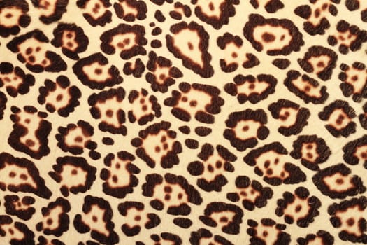 detailed pattern of real leopard fur