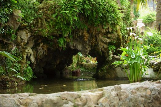 Ornamental pond and rock wall with lush greenery and flowering white arum lilies in a formal garden