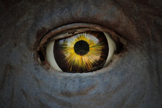 detail of an artificial glass eye