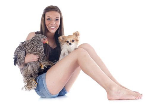 girl, chihuahua and chicken in front of white background
