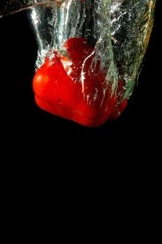 Colored red paprika in water splashes on black background