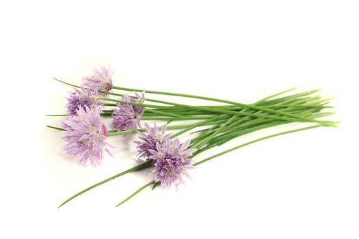 fresh chives with leaves and blossoms on a bright background