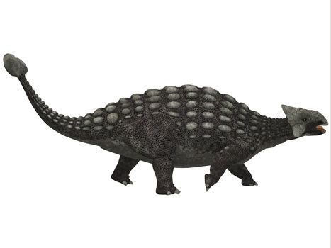 A huge armored dinosaur, Ankylosaurus was a herbivore from the Cretaceous Era.