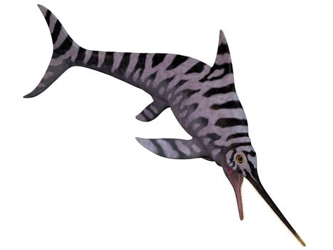 Eurhinosaurus is an extinct genus of Ichthyosaur from the Early Jurassic of Europe.