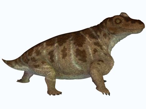 Keratocephalus was a semi-aquatic herbivore dinosaur that lived in the Permian Age of Africa.