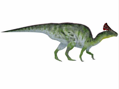 Olorotitan was a duckbilled dinosaur with a colorful fan-shaped crest on its head and existed in the Cretaceous Period.