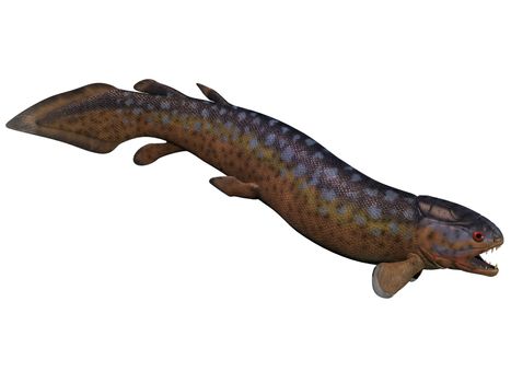 Rhizodus is an extinct group of Carboniferous predatory lobe-finned fishes that lived in freshwater.