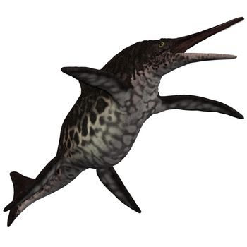 Shonisaurus is the largest Icthyosaur ever found and is 21-23 meters (70ft) long and found in British Columbia.