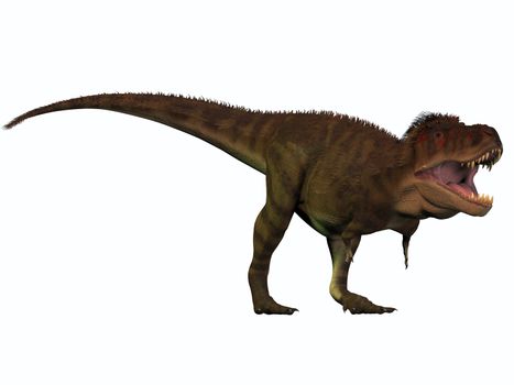 Tyrannosaurus Rex lived in North America in the Cretaceous Period and was an intimidating predator.