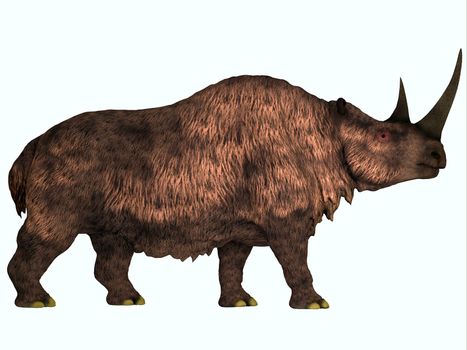 Woolly Rhinoceros is an extinct mammal that lived during the Pleistocene Period in Europe and Asia.