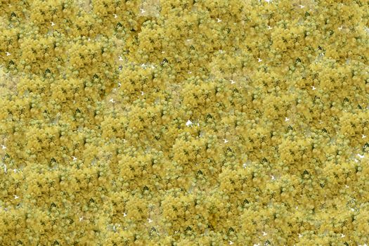 Background of small yellow and greenish flowers, made by photo editing