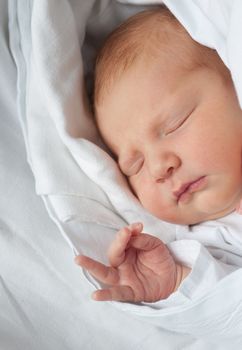 Closeup of Sleeping Newborn Baby in Swaddling Blanket