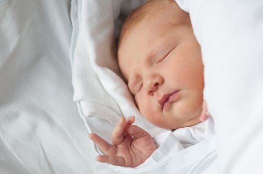 Closeup of Sleeping Newborn Baby in Swaddling Blanket