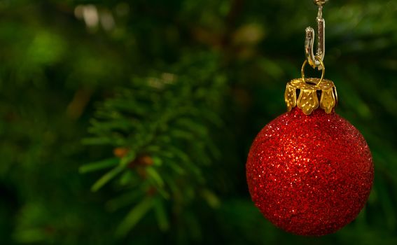 Christmas Background - Red Christmas Bauble on Christmas Tree