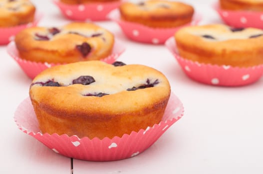 Homemade Blueberry Muffins on White Table