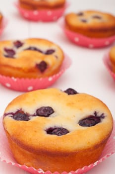 Homemade Blueberry Muffins on White Table