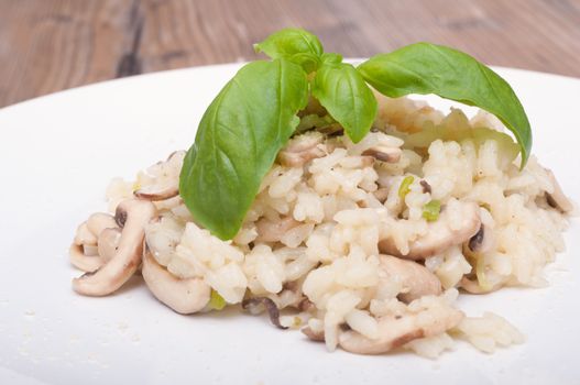 Typical Italian Risotto With Mushrooms - Risotto Con Funghi