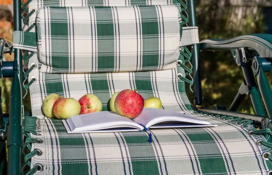 book and apple at their summer chair on a sunny day