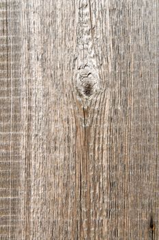 good textured surface of wood