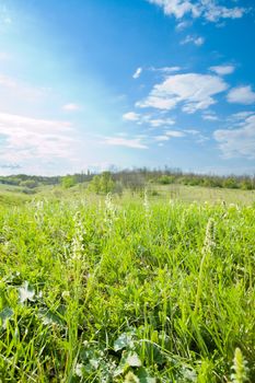 good green and blue color card nature meadow