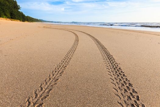 Tracks on the golden sand leading into the sea