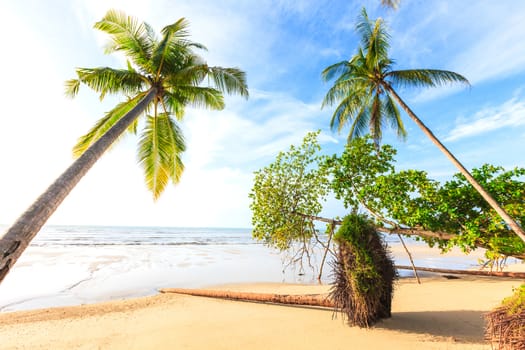 Bangsak beach in blue sky and palm trees at Phangnga, Thailand.