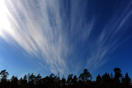 Fantastic clouds in the form of a fan on the background of blue sky and forest