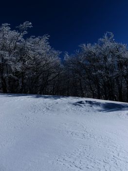 Winter scenery in the mountains Beskid Sadecki. Photography chilled with beech trees covered with snow and the sun piercing through the trees