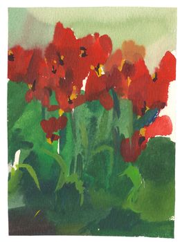 watercolor painting red tulips background