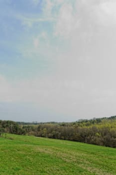 green meadow under a blue sky