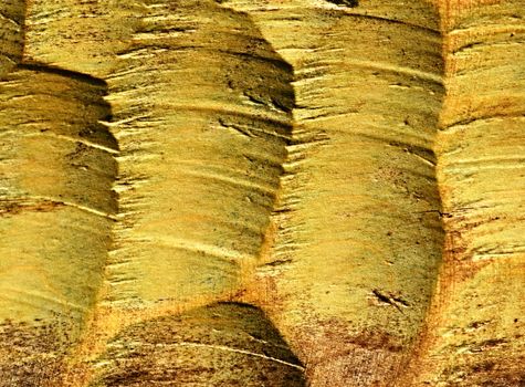 background or texture structure woodcarving yellow ocher color