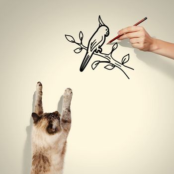 Image of siamese cat catching drawn bird