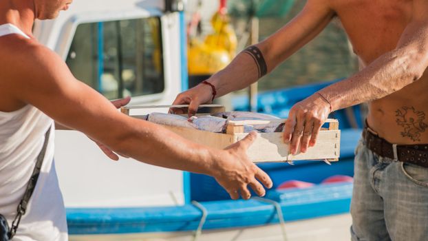 fishermen unload boxes of skipjack
