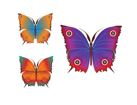 Set fantasy colorful  butterflies (vector) isolated on white