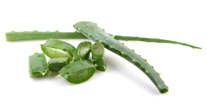 Aloe vera plant isolated on white