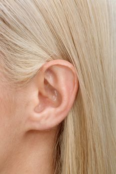 A close-up of the ear of a young blonde female.