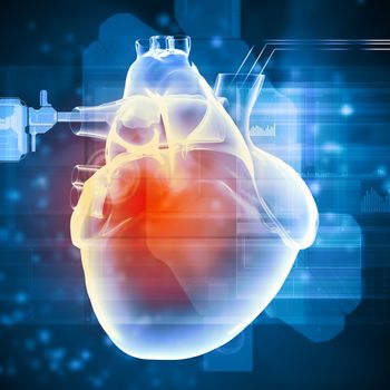 Virtual image of human heart with cardiogram