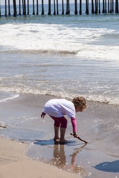 Seacliff is a California State Beach located off Highway 1 in the town of Aptos about 5 miles (8 km) south of Santa Cruz