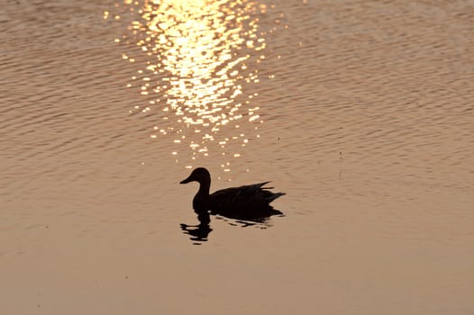 Sunset on Lake Asnen in Sweden