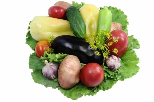 
Potatoes, tomatoes, zucchini , carrots and other fruits and vegetables. There are presented a big plan.g