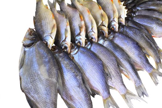 A lot of river fish salted and dried . Presented on a white background.