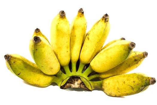 Cultivated banana ,Kluai Namwa isolated on white background.