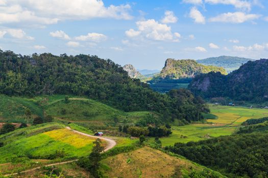 View of a beautiful summer landscape in Loei,Thailand