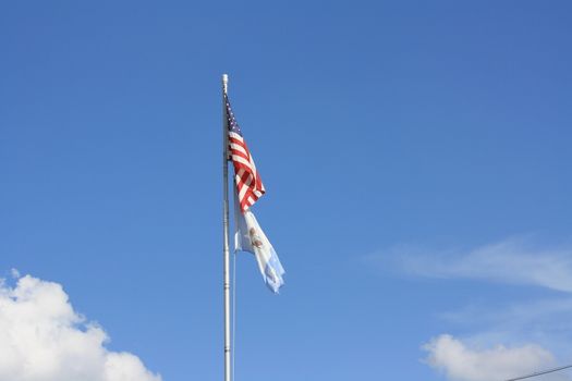 American and Pineville, Louisiana flags