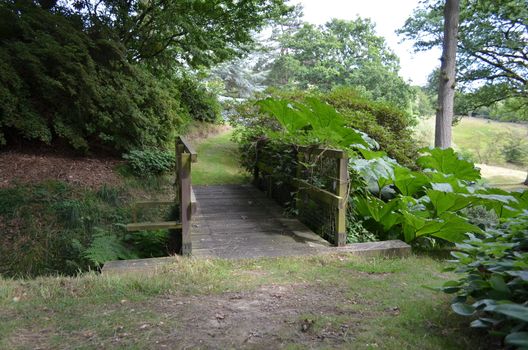 Small wooden bridge in a formal landscaped garden in Southern England.