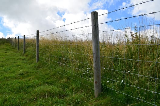 Wooden fence posts with barbed wire surrounding a meadow field in Southern England.