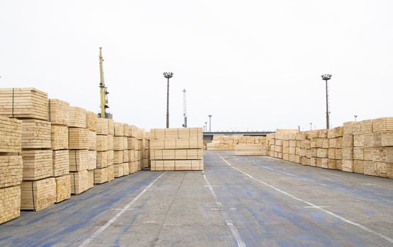 timber wood piles deposit for export