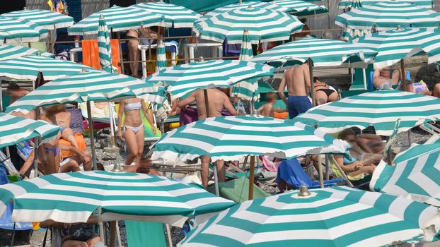 people relaxing on the beach between green and white stripped umbrellas