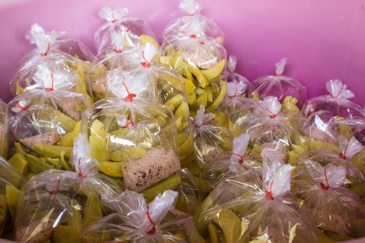 Pickled Mango,the favorite fruit dessert in Thailand